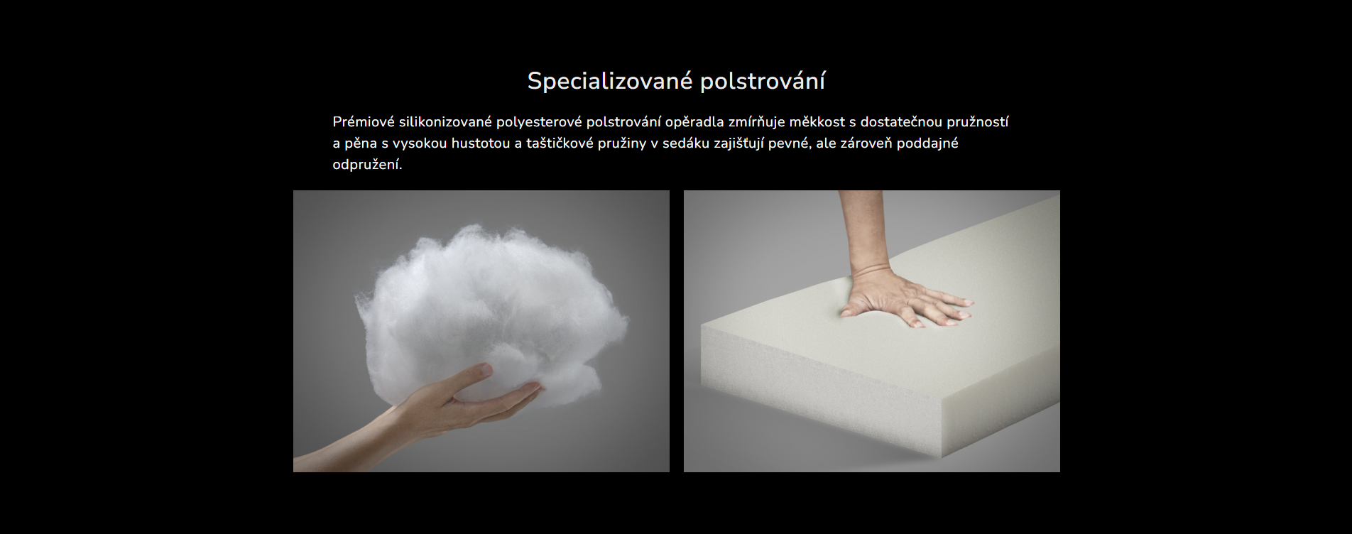 Snímek obrazovky 2026-03-11 105012